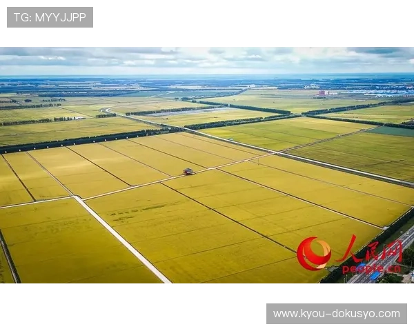 亚星国际电脑版的未来发展趋势与新功能预览，掌握最新动态抢先体验