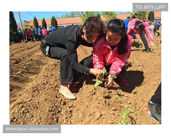 亚星官方网平台稀有道具获取途径与使用建议全面指导玩家资源利用