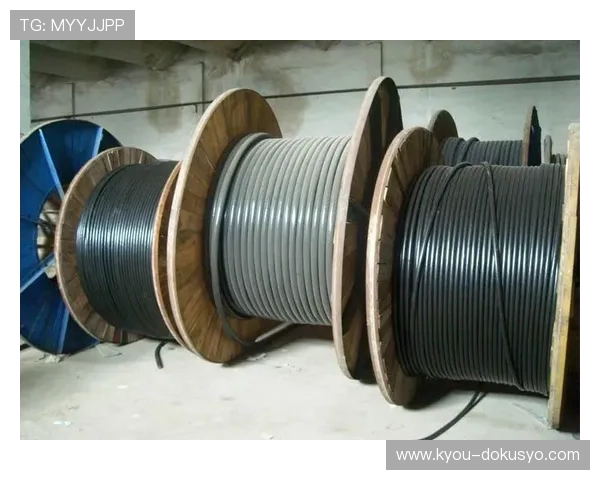 亚星线缆集团有限公司的招聘信息与人才培养体系介绍助力企业吸引优秀人才